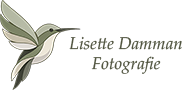 Avada Photography Light Logo